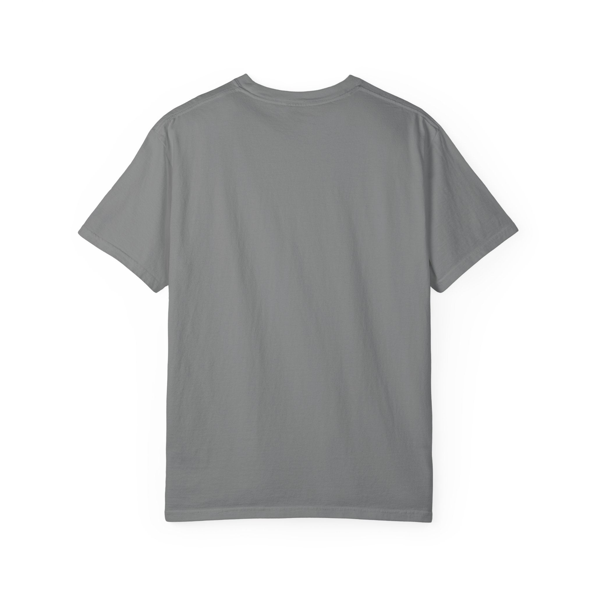 Unisex Garment-Dyed T-shirt-Dolphins